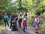 Wandern im Schwarzwald.